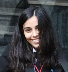 Fotografia de Bazinga